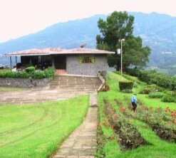 250g Café En Grain Bio La Esperanza - Cafés Lugat -Maxi Coffee Soldes cafe grains esperanza colombie 3