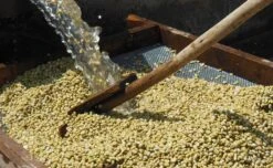 Café En Grains : Ethiopie - Moka Sidamo Marabou - 1Kg - Cafés Lugat -Maxi Coffee Soldes cafe moka sidamo marabou 3 1