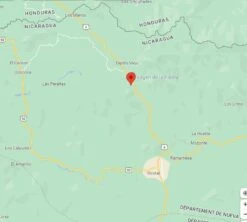 4x250g Café En Grain Nicaragua Don Olman - Cafés Lugat -Maxi Coffee Soldes cafeengraincafeslugatdipilto