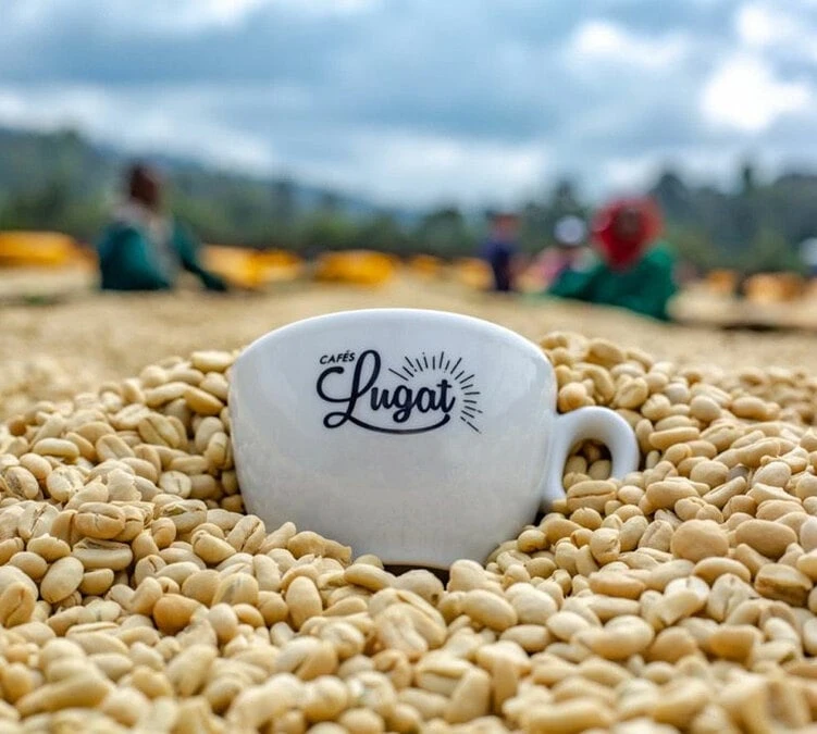 1 Kg café en grain Le Dark'n Sweet - Cafés Lugat 1 Kg Café En Grain Le Dark'n Sweet - Cafés Lugat -Maxi Coffee Soldes cafeengraincafeslugatmarque