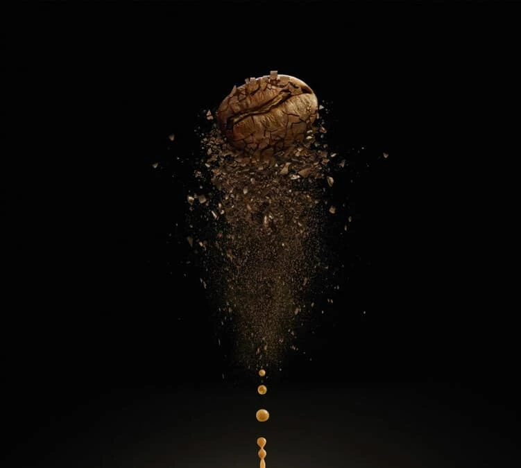 500gr Café en grains Lavazza - Voix de la terre for Amazonia Bio 500gr Café En Grains Lavazza - Voix De La Terre For Amazonia Bio -Maxi Coffee Soldes cafeengraincartenoire2 11