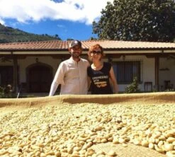 250 G- Café En Grain La Cumbre - LE PIANTAGIONI DEL CAFFE -Maxi Coffee Soldes cafeengrainlpdclacumbre2