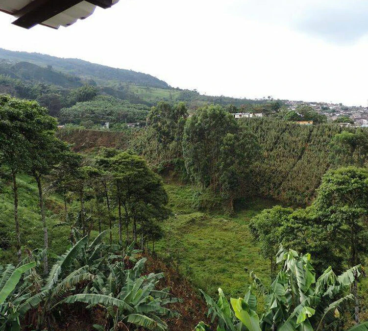 250 g- Café en grain Samaria - LE PIANTAGIONI DEL CAFFE 250 G- Café En Grain Samaria - LE PIANTAGIONI DEL CAFFE -Maxi Coffee Soldes cafeengrainlpdcsamaria2