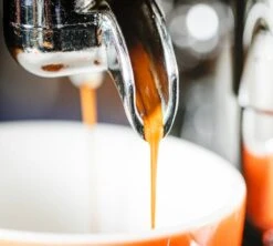 1 Kg Café En Grain Purissima - Perléo Espresso -Maxi Coffee Soldes cafeengrainperleoespressopurissimaextraction