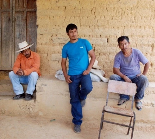 Café en grains bio : Mexique - Sueño - Décaféiné à l'eau - 1Kg - Cafés Lugat Café En Grains Bio : Mexique - Sueño - Décaféiné à L'eau - 1Kg - Cafés Lugat -Maxi Coffee Soldes decafeine altura mexique 2