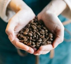 Café En Grains Cinquantenario Zicaffè 1kg -Maxi Coffee Soldes lifestyle grain 3