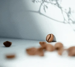 500g Café En Grain Bio Moka D'Ethiopie - CAFES RICHARD -Maxi Coffee Soldes specialtycoffee